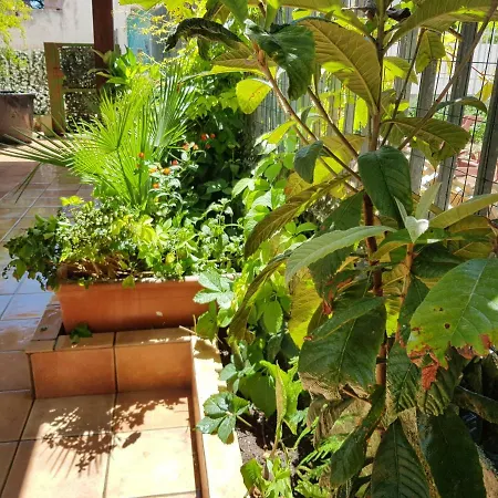 Apartament Lo Sparviero Dello Stagnone